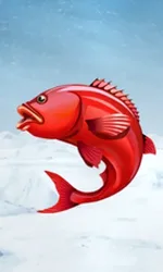 Ice Fishing